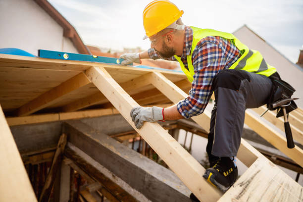 Best Metal Roofing Contractor  in Carroll, IA
