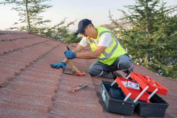 Best Flat Roof Repair Services  in Carroll, IA