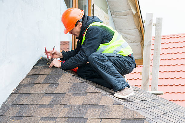 Best Roof Repair Services  in Carroll, IA